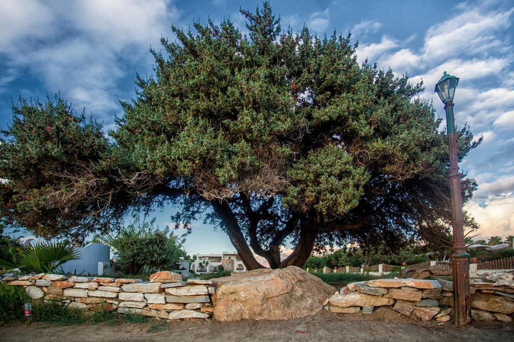 Athina Studios And Suites Plaka Bagian luar foto